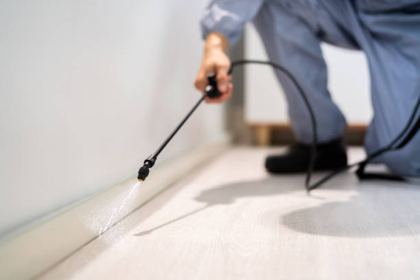 Licensed Mosquito Control service in Hockinson, WA - Show Me Pest Control