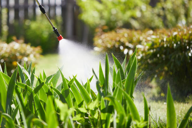 24/7 Emergency Mosquito Control experts in Hockinson, WA